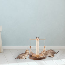 Load image into Gallery viewer, Pet Spinning Toy