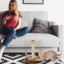 Load image into Gallery viewer, Pet Spinning Toy