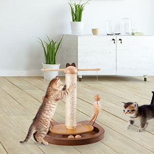 Pet Spinning Toy