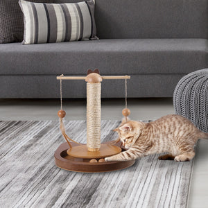 Pet Spinning Toy